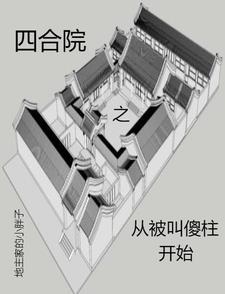 四合院之从被叫傻柱开始章节列表