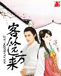 客从远方来章节列表