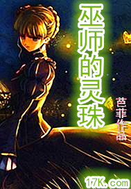 巫师的灵珠章节列表