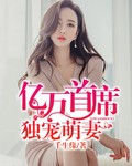 亿万首席独宠萌妻章节列表