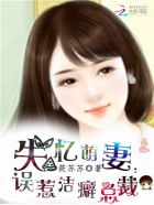 失忆萌妻：误惹洁癖总裁章节列表