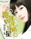 跑到韩国当明星章节列表