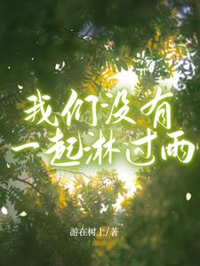 我们没有一起淋过雨章节列表