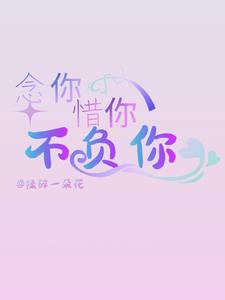 念你惜你不负你章节列表