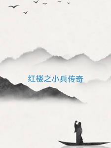红楼之小兵传奇章节列表