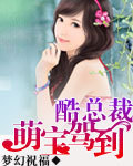 酷总裁：萌宝驾到章节列表