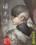 曦光使徒章节列表