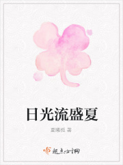 日光流盛夏章节列表