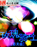 玫瑰骑士章节列表