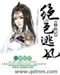 绝色逃妃修仙记章节列表