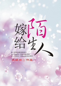 嫁给陌生人章节列表