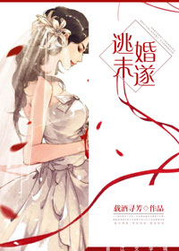 逃婚未遂章节列表