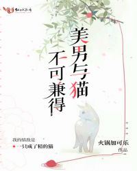 美男与猫不可兼得章节列表