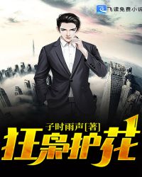 狂龙豪婿章节列表