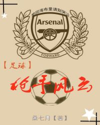 [足球]枪手风云章节列表