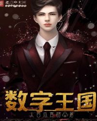 数字王国章节列表
