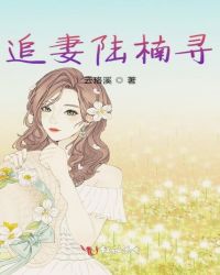 追妻陆楠寻章节列表