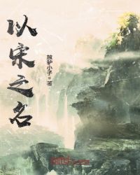 以宋之名章节列表