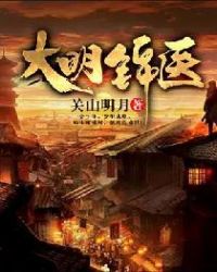 大明锦医章节列表