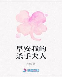 早安我的杀手夫人章节列表