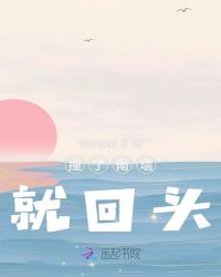 撞了南墙就回头章节列表