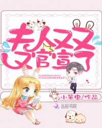 夫人又又又官宣了章节列表