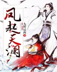 凤起天澜章节列表