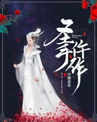 圣手仵作章节列表