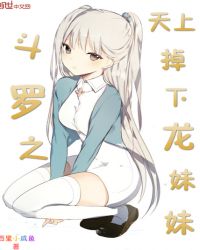 斗罗之天上掉下龙妹妹章节列表