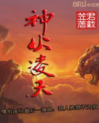 神火凌天章节列表
