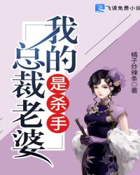 我的总裁老婆是杀手章节列表