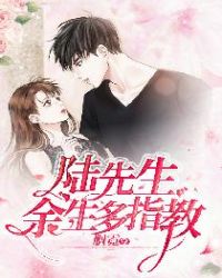 陆先生，余生多指教章节列表