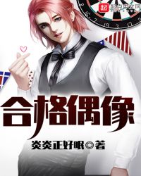 合格偶像章节列表