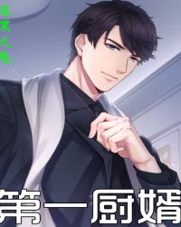 第一厨婿章节列表