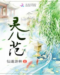 灵儿范章节列表