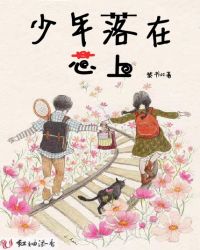 少年落在心上章节列表