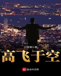 高飞于空章节列表