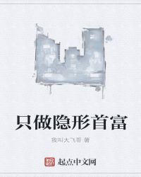 只做隐形首富章节列表