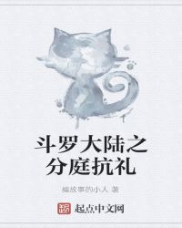 斗罗大陆之分庭抗礼章节列表