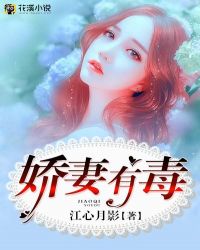 娇妻有毒章节列表