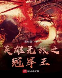 英雄无敌之冠军王章节列表