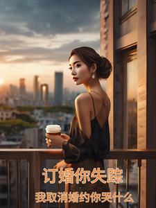 订婚你失踪，我取消婚约你哭什么章节列表