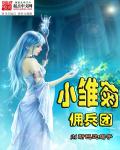 小雏菊佣兵团章节列表