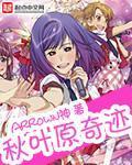 秋叶原奇迹章节列表