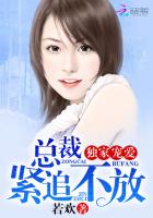 独家宠爱：总裁紧追不放章节列表