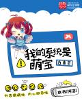 我的系统是萌宝章节列表