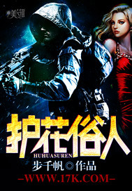 护花俗人章节列表