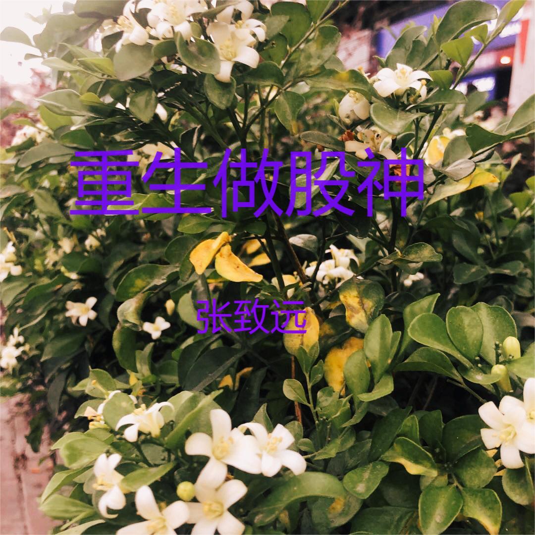 重生：金融巨子归来为爱涤荡乾坤章节列表