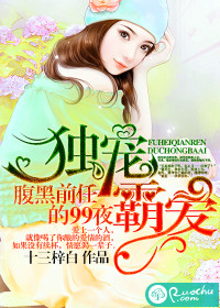 独宠霸爱：腹黑前任的99夜章节列表