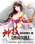 神技养成攻略章节列表